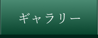 ギャラリー